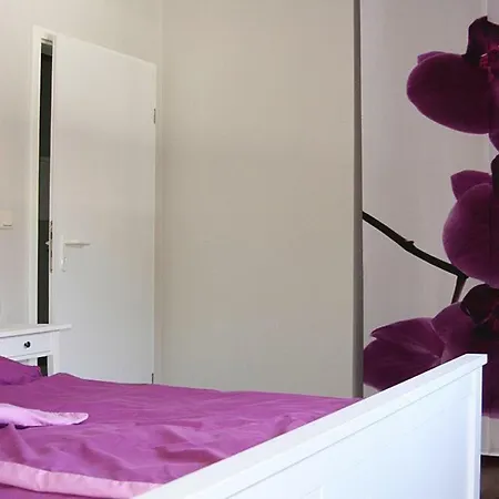 Apartamento Holiday Flat - Dmg03543-p